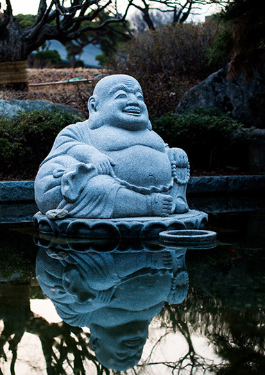 smiling stone buddha in a pond yoga retreats