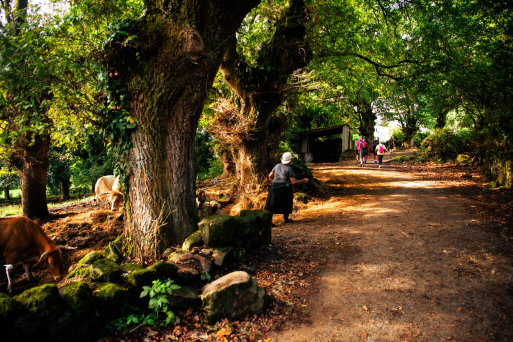 Camino de Santiago, kat carroll yoga, cat eye creations photography