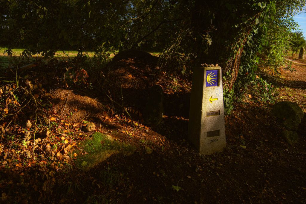 Camino de Santiago, kat carroll yoga, cat eye creations photography
