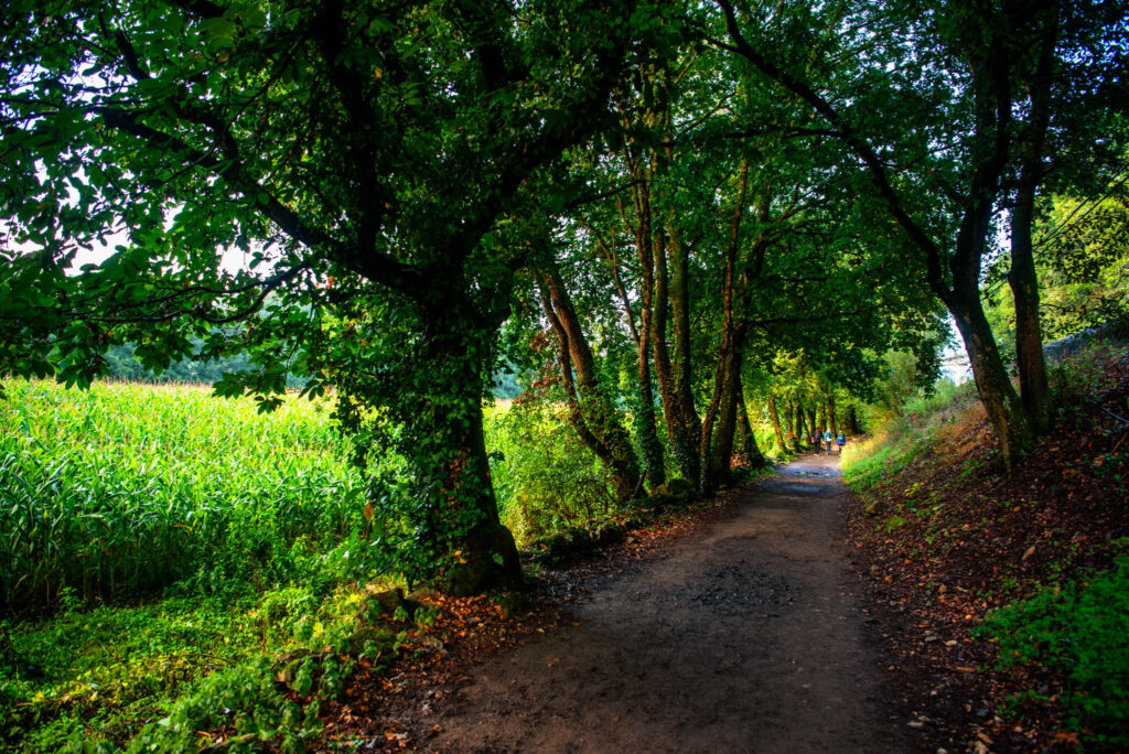 kat carroll yoga, camino de santiago, wellness adventure